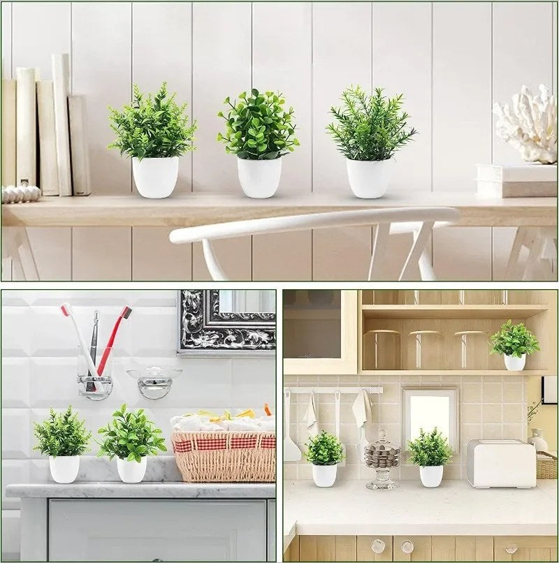 alishop:5be09037d15c