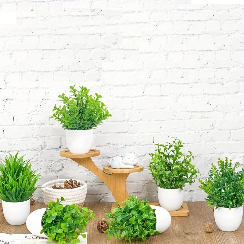 alishop:b6424952bfd2
