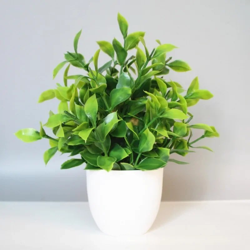 alishop:bd3992fadfe3